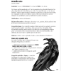 LA VOIE DU CORBEAU