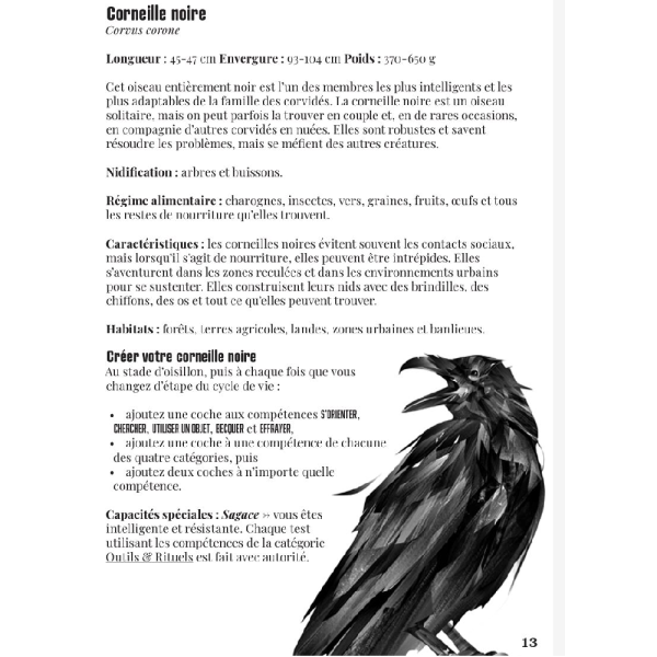 LA VOIE DU CORBEAU