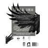 LA VOIE DU CORBEAU