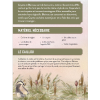JDRIND003_4.png LE COYOTE ET LE BLAIREAU (PDF)