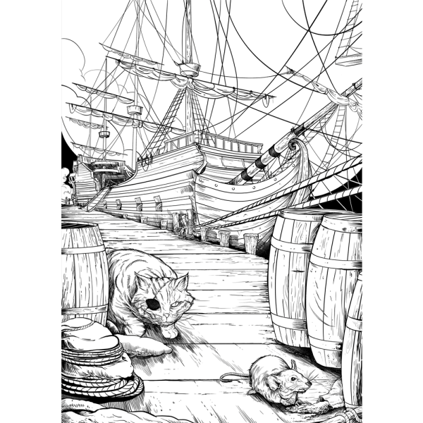 LA VOIE DU CHAT