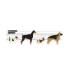 BRAQUAGES À PATTE ARMÉE